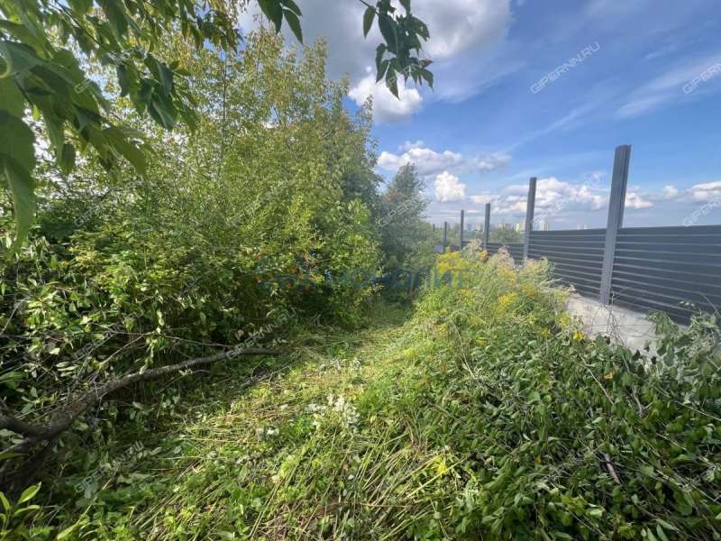 земельный участок 1 056 соток Центральная улица село Федяково